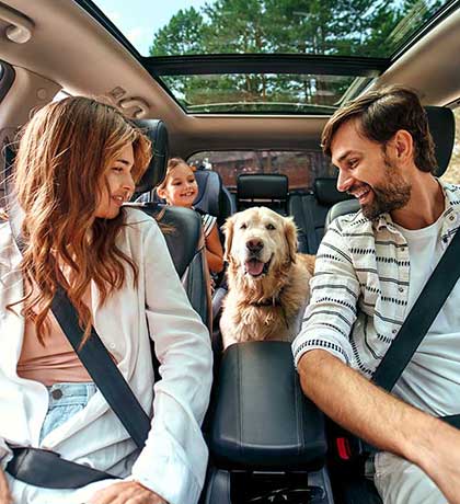 Parents, kid and dog in car